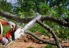 Best Soil Testing and Treatment  in Lindstrom, MN